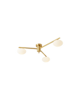 Le Galaxie Élancée