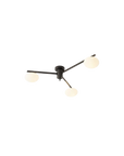 Le Galaxie Élancée