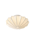 La Coquille Élégante
