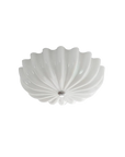 L'Écaille