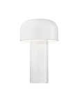 Le Champignon Éclatant