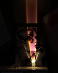 Le Reflet de l’Aube