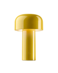 Le Champignon Éclatant