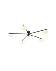 Le Galaxie Élancée