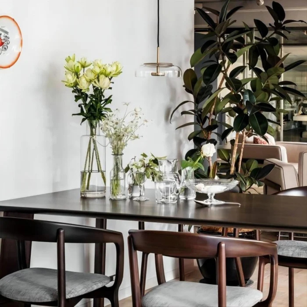 La Clarté Élégante