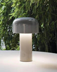 Le Champignon Éclatant