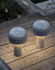 Le Champignon Éclatant