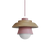 Nº 61 Rose Éclipse