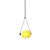 Nº 71 Lumière d'Or 