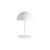 Nº 68 Ivoire Éclatant