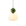 Nº 57 Olive Douce