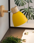 Le Rayon Élégant